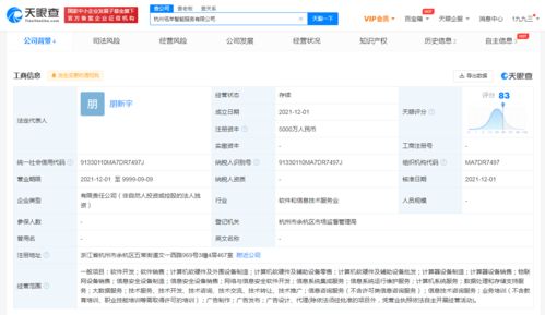 阿里新設智能服務公司，拓展大數據與信息技術咨詢業(yè)務